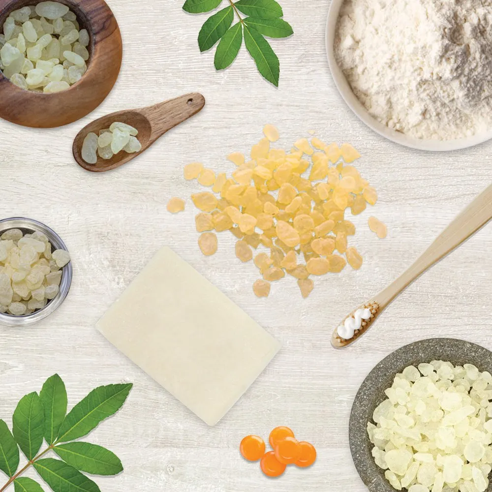 άρθρο μαστίχα Χίου το μαγικό δάκρυ της φύσης